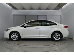 ץߥॻǤ͡͵ĹǯƤǥǤճ˲ʪ롢ʤ˰ʤǥ󤬤Ǥ͡ 2