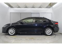 ץߥॻǤ͡͵ĹǯƤǥǤճ˲ʪ롢ʤ˰ʤǥ󤬤Ǥ͡ 2