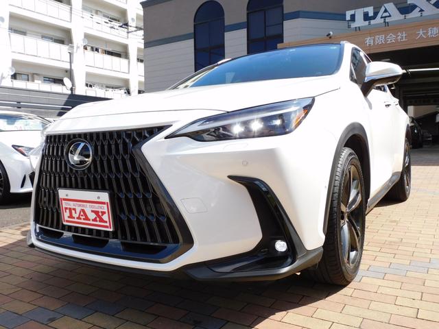 ＮＸ ＮＸ３５０ｈ　バージョンＬ　パノラミックビューモニター　アドバンスパーク　おくだけ充電　ルーフレール＆パノラマルーフ　全席シートＨ＆パワーシート　前席シートＡＣ　カードキー＆スマートキー　ワンオーナー（12枚目）