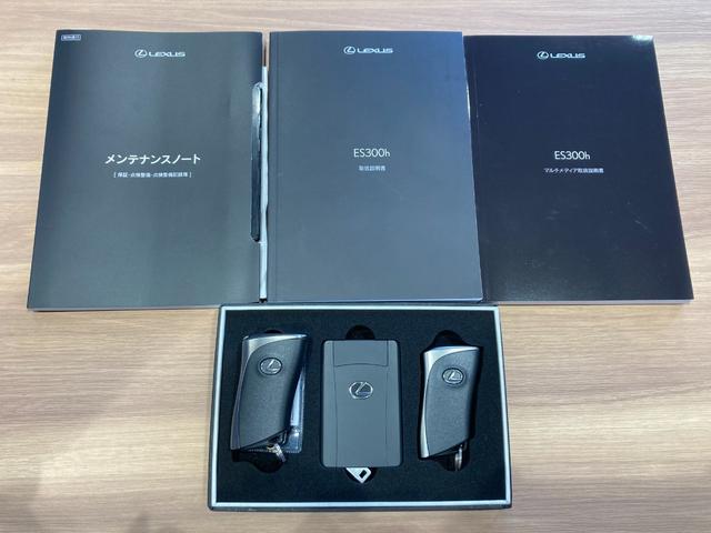ES ES300h Fスポーツ 後期型 TRDフルエアロ&TRDマフラー デジタルインナーミラー オレンジキャリパー パワートランク ワイヤレス充電 カラーヘッドアップディスプレイ ワンオーナー パノラミックビューモニター(33枚目)