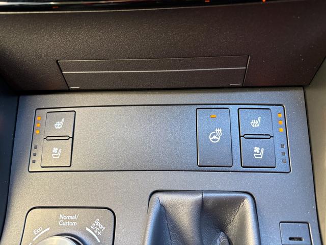 ＩＳ ＩＳ３００ｈ　Ｆスポーツ　フルエアロ＆スポーツマフラー　黒本革　パノラミックビューモニター　三眼ＬＥＤヘッドライト　前席シートヒーター＆ベンチレーション　デュアルオートエアコン　前後ドラレコ　ＥＴＣ　ＲＣＣ　１９ｉｎｃｈＡＷ（46枚目）