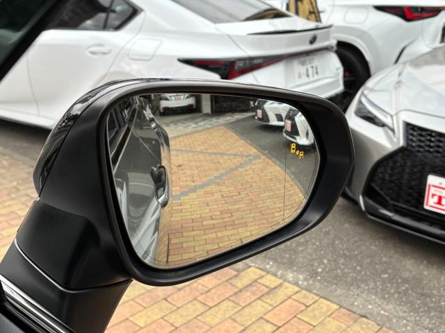 ＮＸ ＮＸ３５０ｈ　Ｆスポーツ　ＴＲＤフルエアロ　パノラマルーフ　赤本革　パノラミックビューモニター　三眼ＬＥＤ　デジタルインナーミラー　１４型ナビ　ＡｐｐｌｅＣａｒＰｌａｙ　パワーバックドア　アドバンスドパーク　２０ｉｎｃｈＡＷ（18枚目）