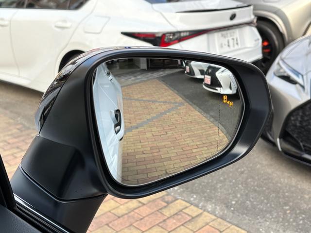 LEXUS NX NX350H F SPORT