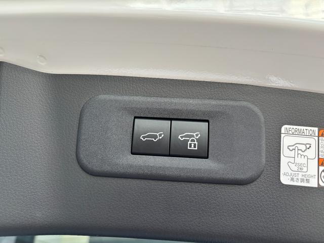 LEXUS NX NX350H F SPORT