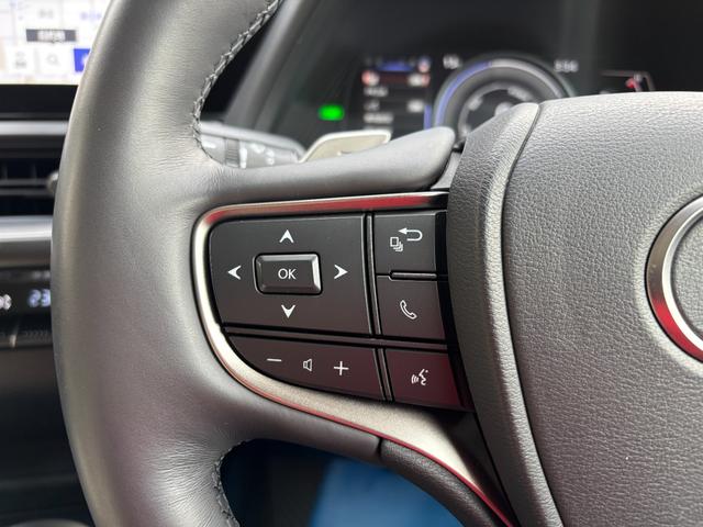 ＵＸ ＵＸ２５０ｈ　バージョンＬ　ＭＣ後モデル　白本革　パノラミックビュー　１２．３型ナビ　フルセグ　デュアルオートエアコン　三眼ＬＥＤヘッドライト　前席シートヒーター＆ベンチレーション　前後ドラレコ　ＥＴＣ　ＰＣＳ　１８ｉｎｃｈＡＷ（46枚目）