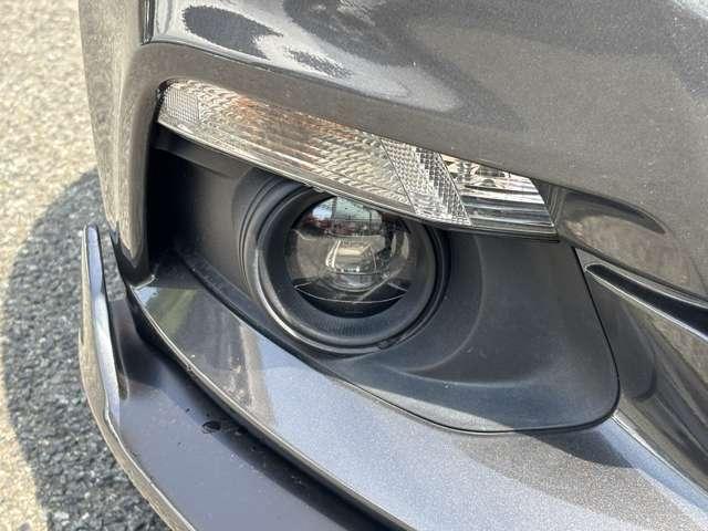マスタング ５０イヤーズ　エディション　Ｆ／Ｓ／Ｒスポイラー　社外マフラー　ＥＴＣ　ＨＩＤ　メモリーナビ／フルセグ／Ｂｌｕｅｔｏｏｔｈ　バックカメラ　黒革シート（9枚目）