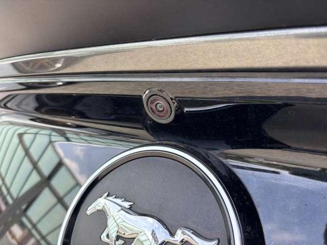 マスタング ５０イヤーズ　エディション　Ｆ／Ｓ／Ｒスポイラー　社外マフラー　ＥＴＣ　ＨＩＤ　メモリーナビ／フルセグ／Ｂｌｕｅｔｏｏｔｈ　バックカメラ　黒革シート（17枚目）