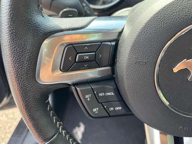 マスタング ５０イヤーズ　エディション　Ｆ／Ｓ／Ｒスポイラー　社外マフラー　ＥＴＣ　ＨＩＤ　メモリーナビ／フルセグ／Ｂｌｕｅｔｏｏｔｈ　バックカメラ　黒革シート（29枚目）