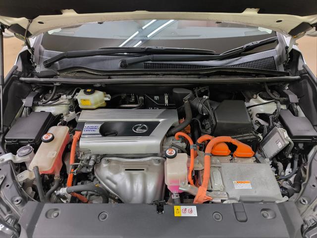 自社整備工場も完備しておりますのでアフターも安心です！車検・整備などお気軽に相談ください！