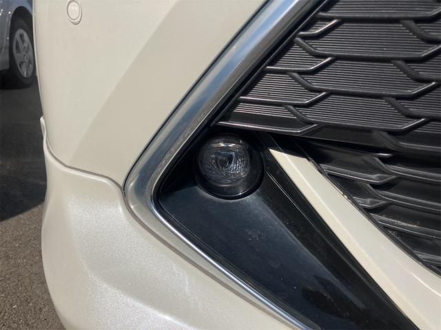 ���̓x�͓��X�̂��Ԃ������ɂȂ��Ă��������A���ɂ��肪�Ƃ��������܂��B�������茻�Ԋm�F���Ē�����悤�A��������v���܂��I