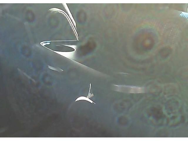 セレナ ハイウェイスター S-ハイブリッド 社外ナビ ワンセグTV Bluetooth DVD再生 ETC バックカメラ 片側電動スライドドア アイドリングストップ 後席モニター クルーズコントロール 車線逸脱警報 踏み間違いアシスト(44枚目)