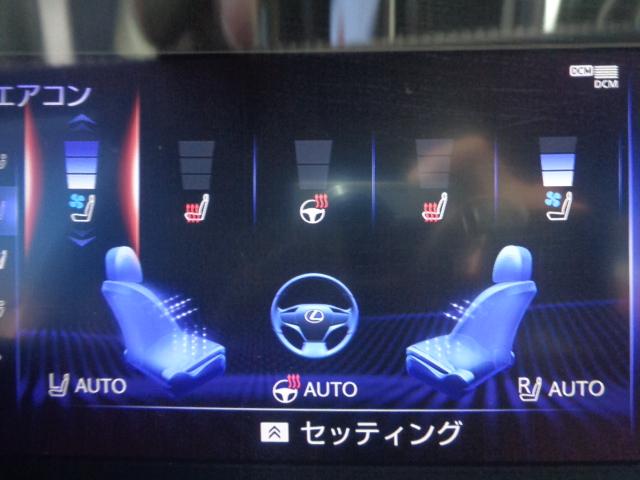 ＬＳ ＬＳ５００ｈ　Ｆスポーツ　純正フルセグナビ　ＢＴ　ＤＶＤ　全方位カメラ　黒革メモリーツキパワーシート　デジタルインナーミラー　ＬＥＤオートヘッドパワーバックドア　ＥＴＣ２．０　シートヒーター　電動リアシェード　カードキー（46枚目）