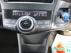 ץꥦե ӡ塼󡡥֥å;ꡡե륻ͥʥ 0800159A30250404W001 3