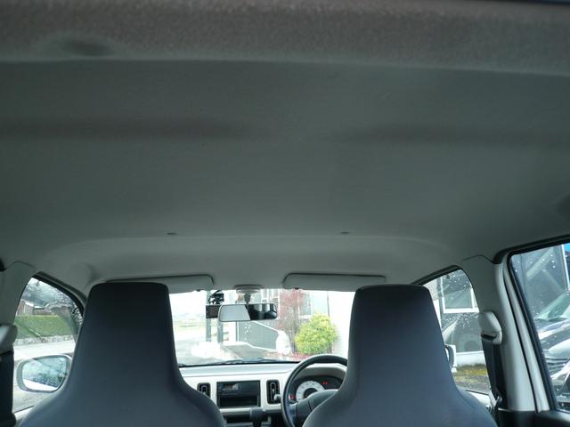 �V��̏�Ԃ��ǂ��Y��ł��C�ɂȂ�^�o�R�L�͂���܂���I