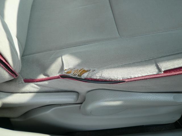 �^�]�ȍ��ʂ̈ꕔ�A�j��Ă��܂��c�B