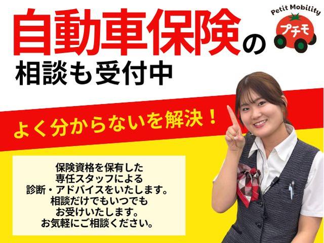 デリカミニ Ｔ　プレミアム　両側電動スライドドア　クリアランスソナー　オートクルーズコントロール　衝突被害軽減システム　ＬＥＤヘッドランプ　スマートキー　アイドリングストップ　電動格納ミラー　シートヒーター　ベンチシート　ＣＶＴ（47枚目）