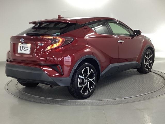 �����̂悤���Y��ɃN���[�j���O����Ă���A�ƂĂ��L���C�ȃ{�f�B�ł���B�O���͂������������Y��ł��B