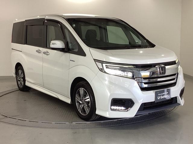 ���S�A���`�����l���������V���[�v�ȊO�ςł��B���i�̃A�V�ɂ������Ă����̈��ł��B�����̂悤�ɁA��Ԃ��ǂ��A�J���[�����O���I�X�X���ł���I�I