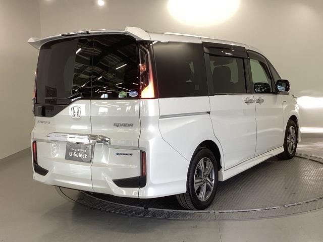 �����̂悤���Y��ɃN���[�j���O����Ă���A�ƂĂ��L���C�ȃ{�f�B�ł���B�O���͂������������Y��ł��B