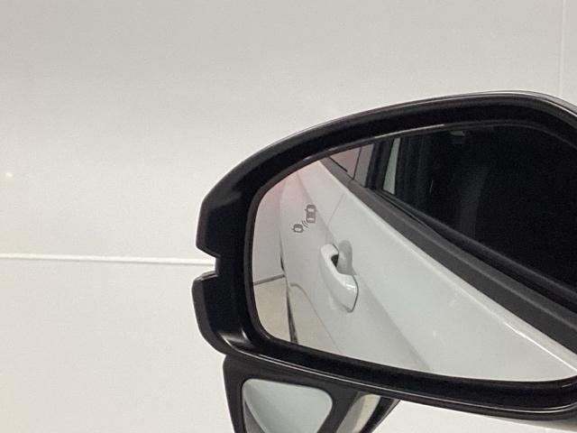 �u���C���h�X�|�b�g�C���t�H���[�V�����͑��s���A�΂ߌ��Ɏԗ������m����ƁA�h�A�~���[��̃}�[�N��_�����Ă��m�点���܂�