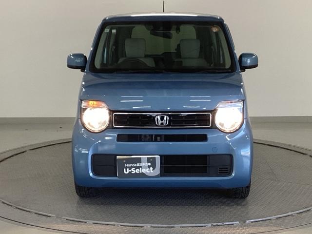 �����̂悤���Y��ɃN���[�j���O����Ă���A�ƂĂ��L���C�ȃ{�f�B�ł���B�O���͂������������Y��ł��B