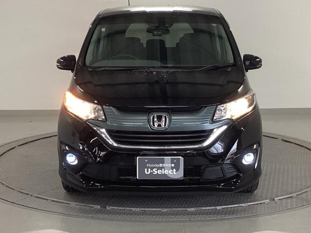 �����̂悤���Y��ɃN���[�j���O����Ă���A�ƂĂ��L���C�ȃ{�f�B�ł���B�O���͂������������Y��ł��B