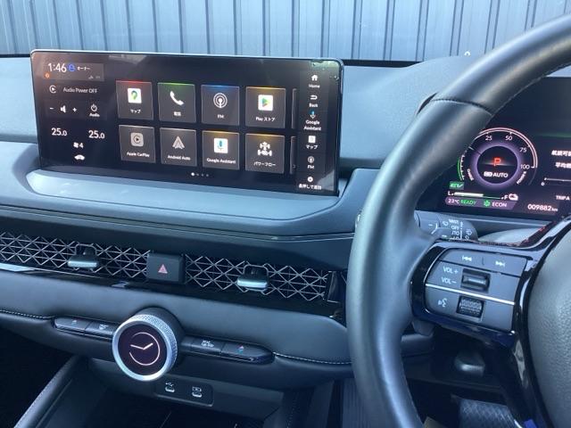 �z���_�����������[�i�r���ڂł��̂ŁA�������ւ̂��o���������C���������B