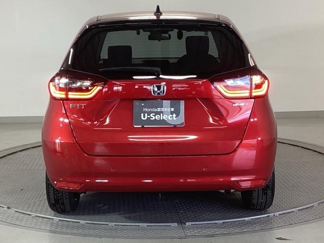 �����̂悤���Y��ɃN���[�j���O����Ă���A�ƂĂ��L���C�ȃ{�f�B�ł���B�O���͂������������Y��ł��B