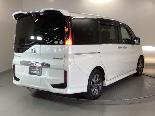 �����̂悤���Y��ɃN���[�j���O����Ă���A�ƂĂ��L���C�ȃ{�f�B�ł���B�O���͂������������Y��ł��B