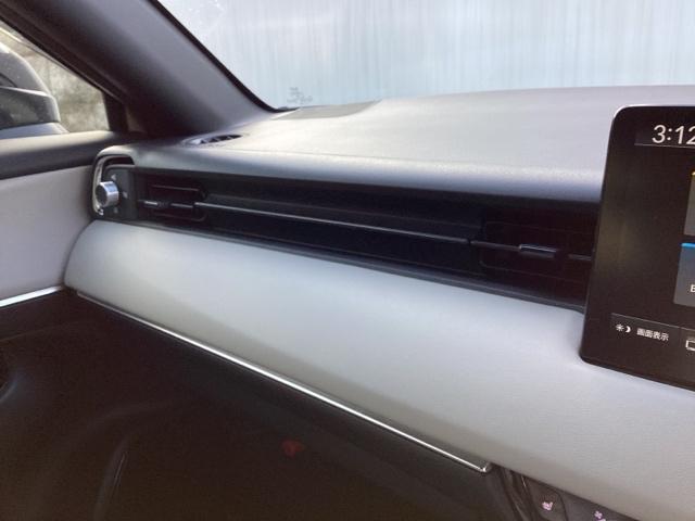 �o�k���x��p�C���e���A