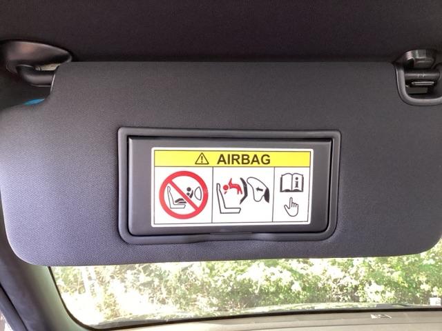 インサイト ＥＸ・ブラックスタイル　純正ナビ　フルセグ　リアカメラ　ＡＡＣ　クルーズコントロール　キーレス　ＬＥＤライト　Ｐセンサー　サイドエアバッグ　ＶＳＡ　シートヒータ　エアバッグ　スマートキー　ＡＢＳ　ドライブレコーダー　ＵＳＢ（40枚目）