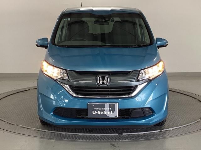 �����̂悤���Y��ɃN���[�j���O����Ă���A�ƂĂ��L���C�ȃ{�f�B�ł���B�O���͂������������Y��ł��B