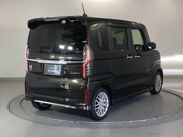 �����̂悤���Y��ɃN���[�j���O����Ă���A�ƂĂ��L���C�ȃ{�f�B�ł���B�O���͂������������Y��ł��B