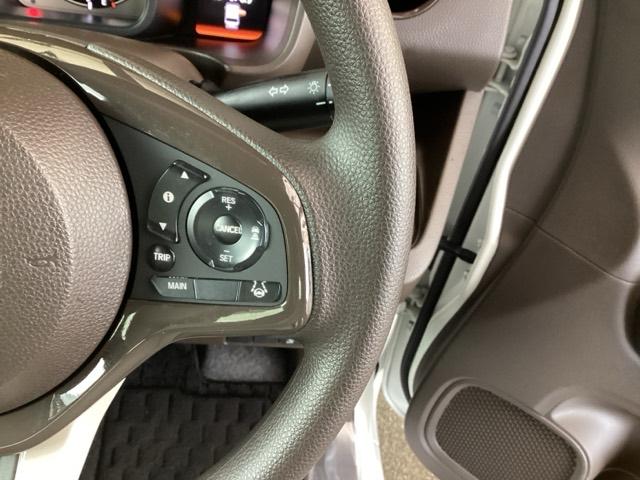 Ｎ－ＷＧＮ Ｌホンダセンシング　純正ナビ　フルセグ　リアカメラ　ＥＴＣ装備　Ｂモニタ　誤発進抑制　ＬＥＤランプ　シートヒータ　ＤＶＤ　横滑り防止機能　ＵＳＢポート　パーキングセンサー　セキュリティアラーム　キーフリー　ナビＴＶ（47枚目）