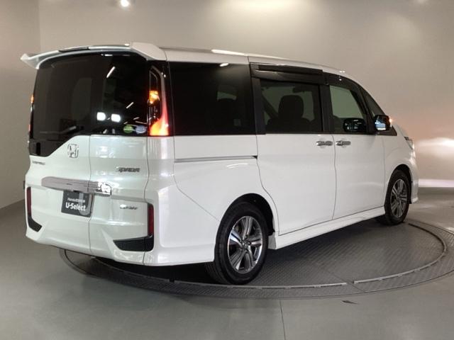 �����̂悤���Y��ɃN���[�j���O����Ă���A�ƂĂ��L���C�ȃ{�f�B�ł���B�O���͂������������Y��ł��B