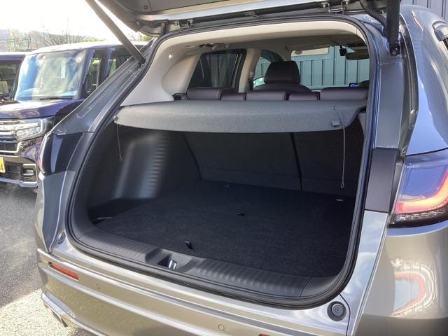 ����ȃe�[���Q�[�g�ł��B���L�A�Ⴂ���ʂő傫�ȉו��̏o�����ꂪ�ȒP�ɂȂ�܂��B