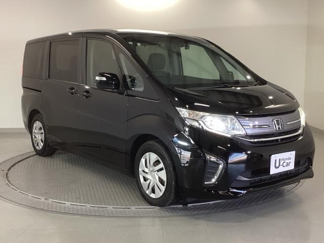 �����̂悤���Y��ɃN���[�j���O����Ă���A�ƂĂ��L���C�ȃ{�f�B�ł���B�O���͂������������Y��ł��B