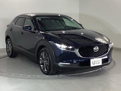 �ɥ��ߥ顼�ˣ̣ţĥ����󥫡����Ĥ��Ƥ���Τǡ����Ϥ˥��ԡ���Ǥ��ޤ��͡� 5