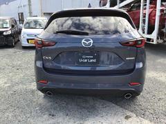 ãءݣ ӡ롼֡⡼ɡȥ٥졼 0800238A20251025Z001 7