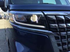 �ե쥢�若�󥫥����ॹ������ ���������������ॹ�����롡�ϥ��֥�åɡ��أӡ��̣ţĥإåȥ饤�� 0800238A20260114Z001 7