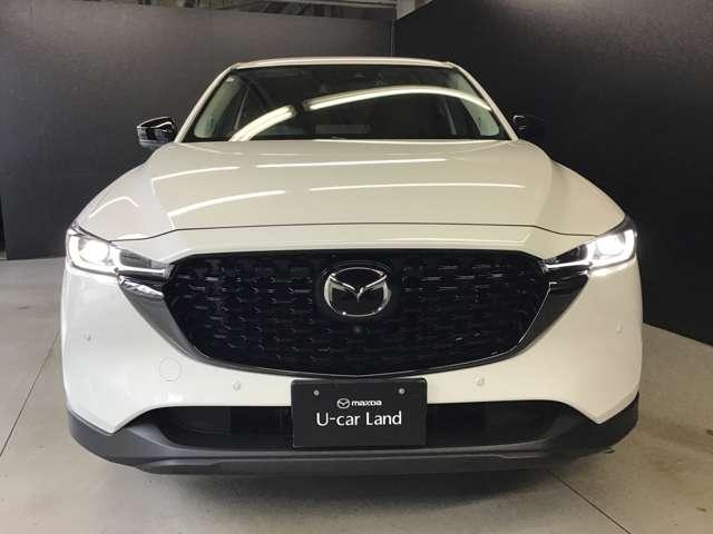 ���͂̃t�����g�}�X�N�ł��I�I