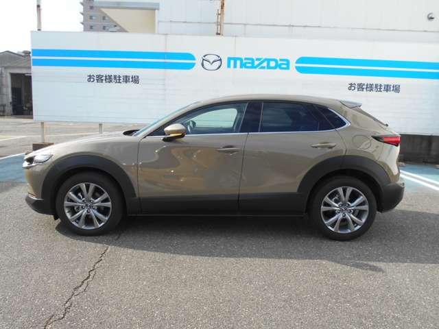 ＣＸ－３０ ２．０　２０Ｓ　ツーリング　試乗車アップ　ナビ　ＥＴＣ　全方位モニター　衝突軽減ブレーキ　アルミホイール　クリアランスソナー　フルセグＴＶ　レーダークルーズ　パワーシート　オートマチックハイビーム　ＬＥＤヘッドランプ　ＥＴＣ（13枚目）