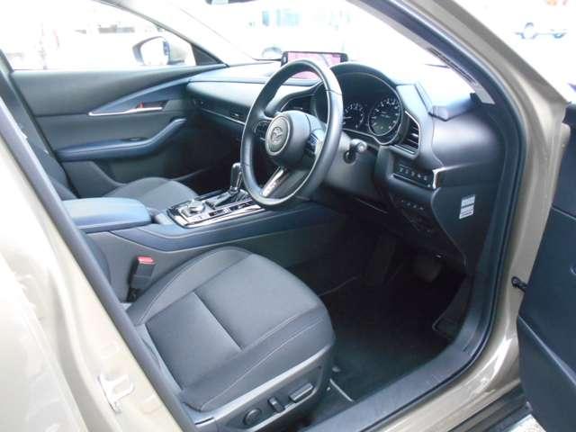 ＣＸ－３０ ２．０　２０Ｓ　ツーリング　試乗車アップ　ナビ　ＥＴＣ　全方位モニター　衝突軽減ブレーキ　アルミホイール　クリアランスソナー　フルセグＴＶ　レーダークルーズ　パワーシート　オートマチックハイビーム　ＬＥＤヘッドランプ　ＥＴＣ（17枚目）