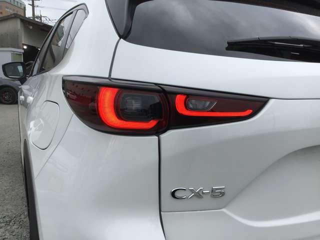 �����I�ȃ��C�g���ł��I