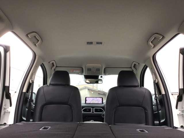 �V����Y��ł������͒��ÎԂ�����Ƃ��ɓV���ǂ�����悤�ɂ��Ă��܂����������Y��ȎԂ͎ԓ����Y��Ȃ��Ƃ������ł���