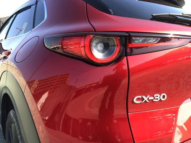 �����I�ȃ��C�g���ł��I