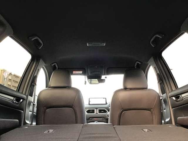 �V����Y��ł������͒��ÎԂ�����Ƃ��ɓV���ǂ�����悤�ɂ��Ă��܂����������Y��ȎԂ͎ԓ����Y��Ȃ��Ƃ������ł���