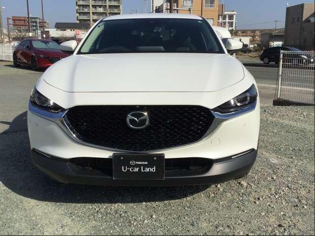 �}�c�_�����f�U�C�����̗p�B�t�����g�t�F�C�X���Ƀ��b�L�́u�V�O�l�`���[�E�C���O�v������A��������\�����Ă��܂��B