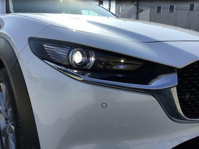 ��Ԃ̎��F�������߃h���C�o�[�̊댯�F�m���T�|�[�g����k�d�c�w�b�h���C�g��