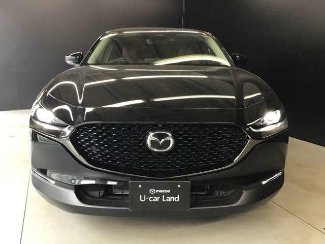 �}�c�_�����f�U�C�����̗p�B�t�����g�t�F�C�X���Ƀ��b�L�́u�V�O�l�`���[�E�C���O�v������A��������\�����Ă��܂��B